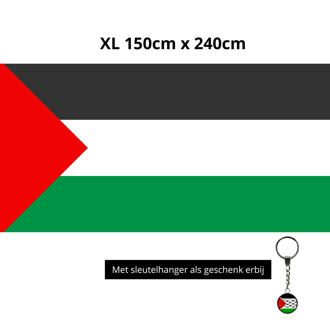Palestijnse Vlag