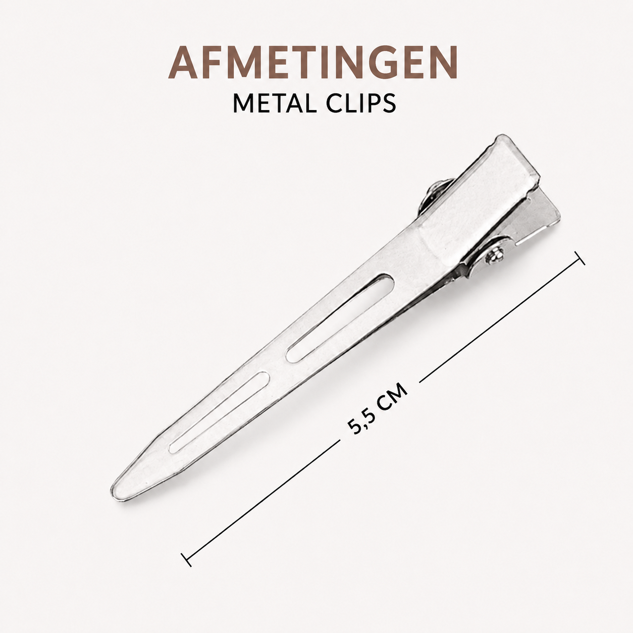Metal Clips RVS